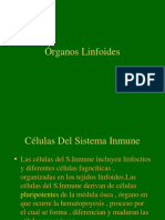 Celulas Del Sistema Inmune