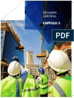 CAP5-Regimen_laboral.pdf