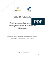 Analisis de Rentabilidad-Biomasa Pequeña Escala-Uruguay PDF