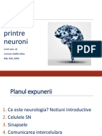 1.calatorie Printre Neuroni PDF
