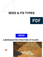 10 Seed Types