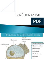 Apuntes Bioquímica de La Informaicón Génica