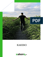 KAKEBO.pdf