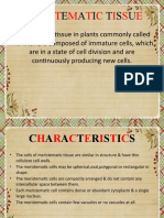 Meristematic Tissue