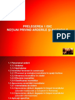 A_Prelegerea 1 ISIC NOTIUNI DESPRE ARDERI si INCENDII.pdf