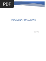 Punjab National Bank: Swati Salem