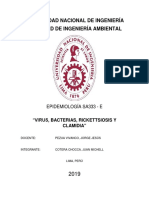 Virus, Bacterias, Rickettsiosis y Clamidia