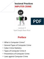 Computer Crime: Professional Practices