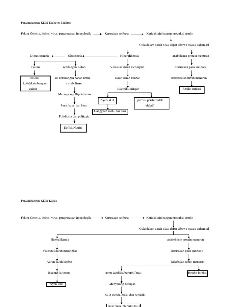 Penyimpangan KDM pada Diabetes Melitus | PDF