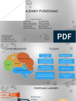 Dokumen - Tips Profil Puskesmas Lampaseh