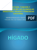 SESIÓN 3. HÍGADO.pptx