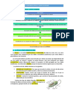 LA ORGANIZACIÓN DEL CUERPO HUMANO.pdf