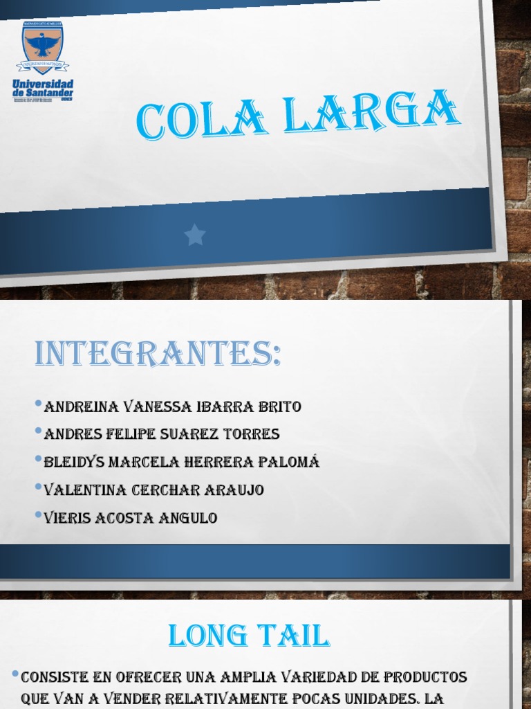 Modelo de Negocio Cola Larga | PDF | Oferta y demanda | Internet