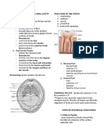 INTRODUCTION IN THE ORAL CAVITY.docx