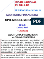 Auditoria Financiera