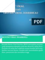 Diare Ganas (Bovine Viral Diarrhea)
