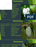 Taxomia de Plantas