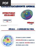 CELULA . TECIDOS AV2