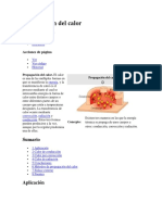 Propagación Del Calor