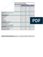 Matriz de Capacidad Interna PDF