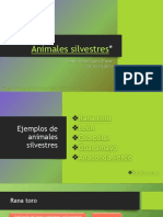 Animales Silvestres
