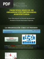 Principios Básicos de Organización Empresarial Agropecuaria PDF