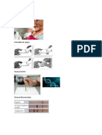 Diagnóstico y Tratamiento Info Plasmodium