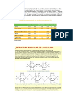 Celulosa PDF