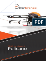 SkyDrones Pelicano