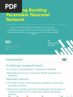 Modelling Bursting Pacemaker Neural Network