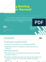 Modelling Bursting Pacemaker Neural Network