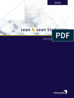 Lean Lean Six Sigma