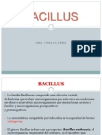 Bacillus S.G Cap21