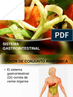 Sistema Gastrointestinal