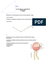 TALLER MODULO 01 (Fundamentos Biológicos)