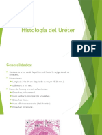 Histología del Uréter.pptx