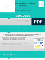 GLUCOLISIS