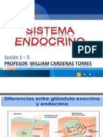 Sist. Endocrino-Sesion 1 - 5 (1sem)