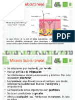 4. MICOSIS INTERMEDIAS