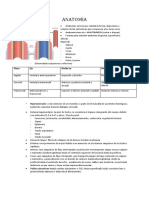 ANATOMIA Repaso