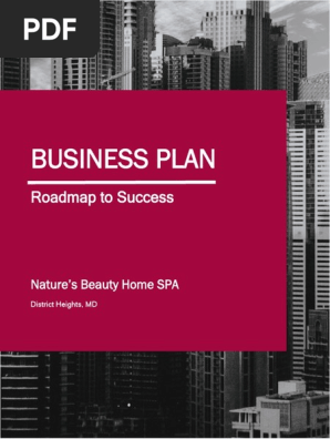 Business Plan.docx