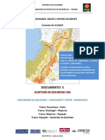 Documento E Auditoria Seguridad Vial.pdf