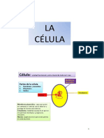 La Celula