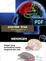 Anatomi Otak PP