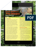 Tree Octopus PDF