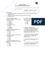 66582412-PRUEBA-area-y-perimetro-5ºa-ss.docx