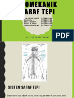 Biomekanik Saraf Tepi