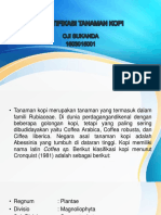 Identifikasi Tanaman Kopi Robusta