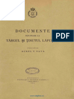 A.V. Sava, Documente Lapusna.pdf