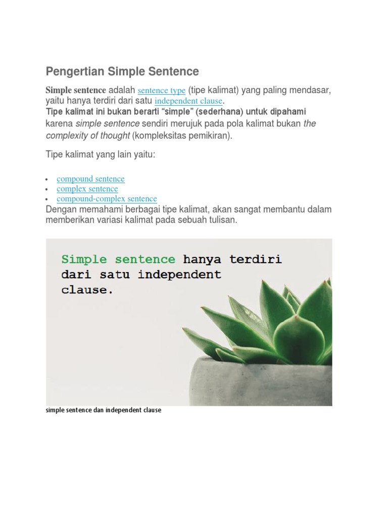 Pengertian dan Contoh Simple Sentence | PDF